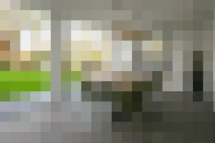 Spaarndammerweg 26 Halfweg thumbnail 41