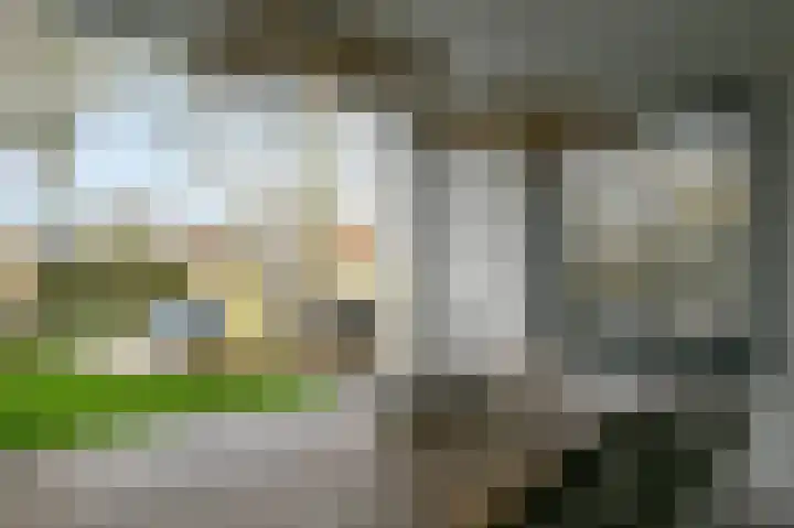 Spaarndammerweg 26 Halfweg thumbnail 42