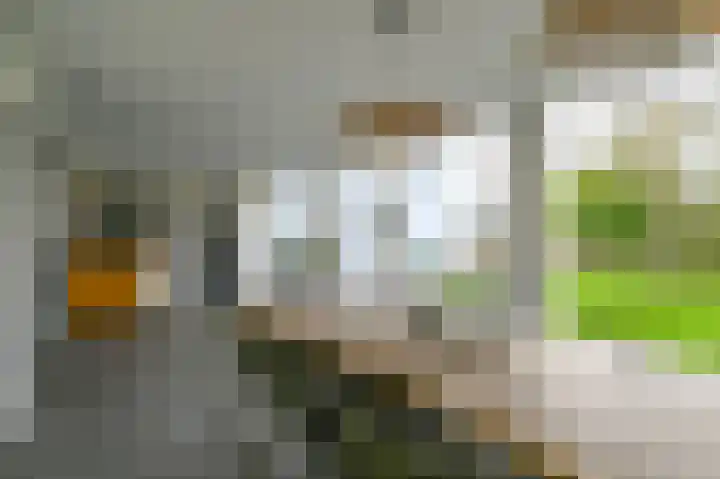 Spaarndammerweg 26 Halfweg thumbnail 43