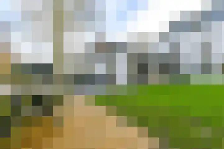Spaarndammerweg 26 Halfweg thumbnail 45