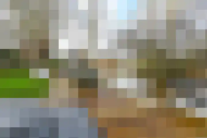 Spaarndammerweg 26 Halfweg thumbnail 47