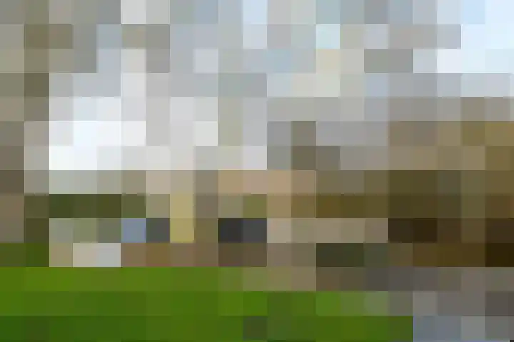 Spaarndammerweg 26 Halfweg thumbnail 48