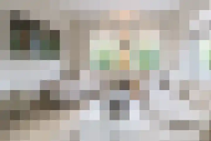 Spaarndammerweg 26 Halfweg thumbnail 5