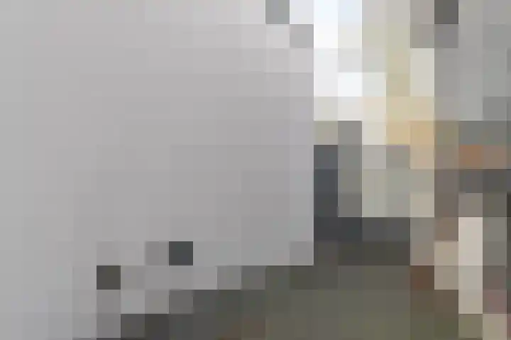 Spaarndammerweg 26 Halfweg thumbnail 55