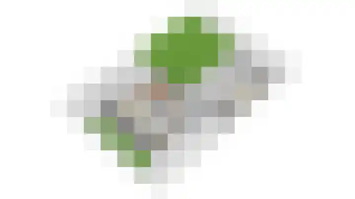 Spaarndammerweg 26 Halfweg thumbnail 64