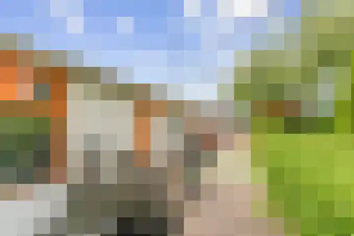 Spaarndamseweg 129 Haarlem thumbnail 34