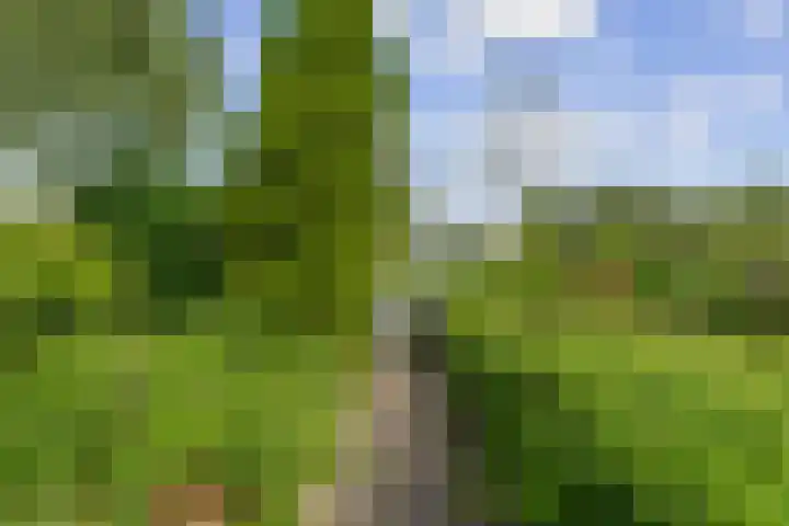 Spaarndamseweg 129 Haarlem thumbnail 38