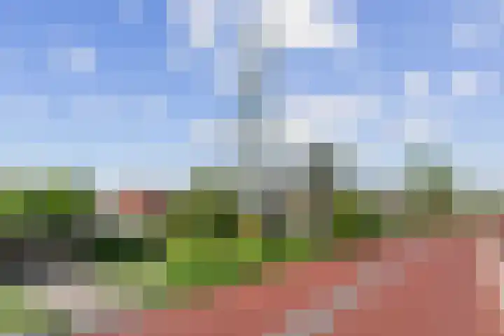Spaarndamseweg 129 Haarlem thumbnail 39