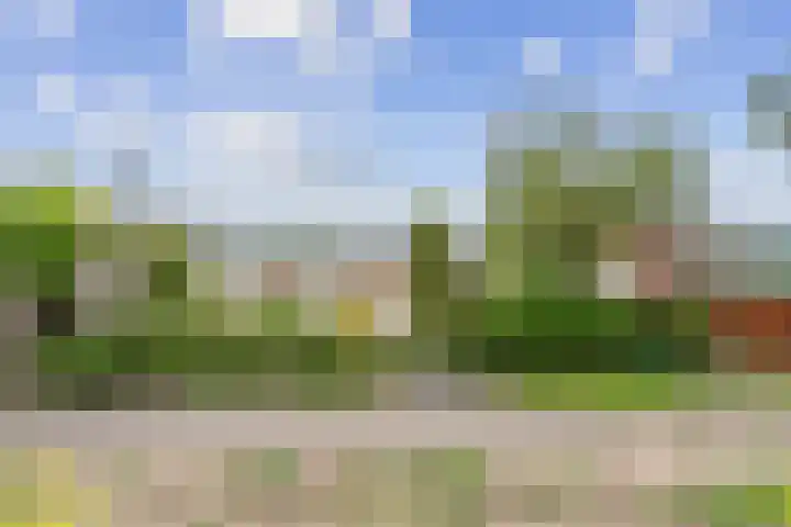 Spaarndamseweg 129 Haarlem thumbnail 41