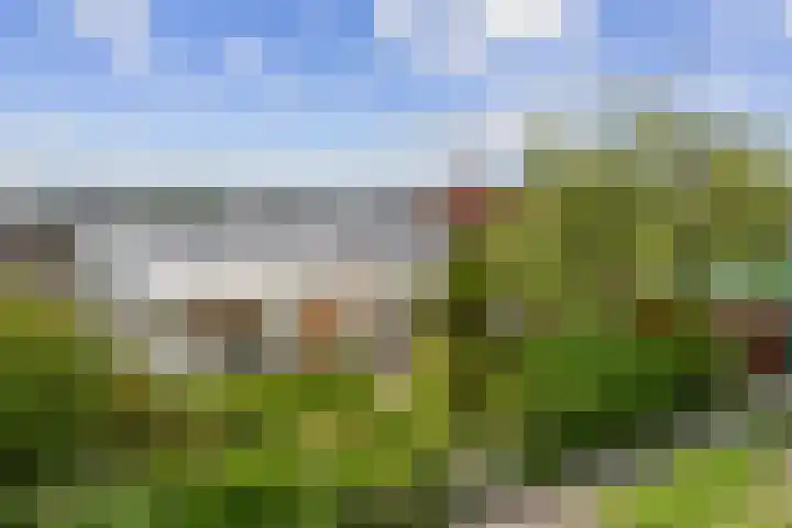Spaarndamseweg 129 Haarlem thumbnail 5