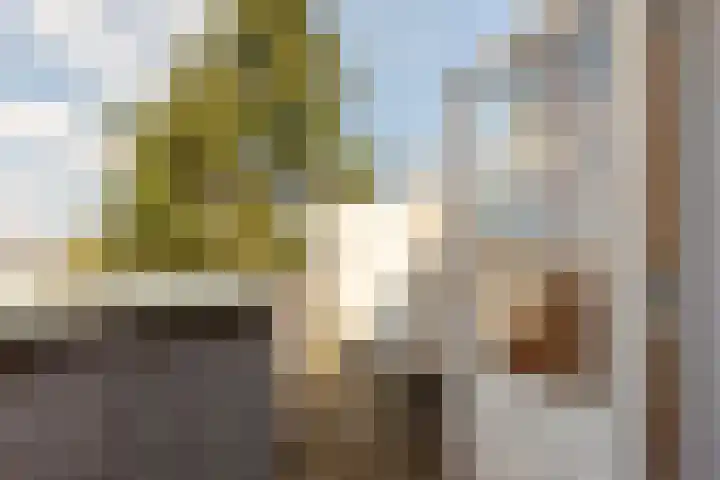 Spaarndamseweg 278 Haarlem thumbnail 10