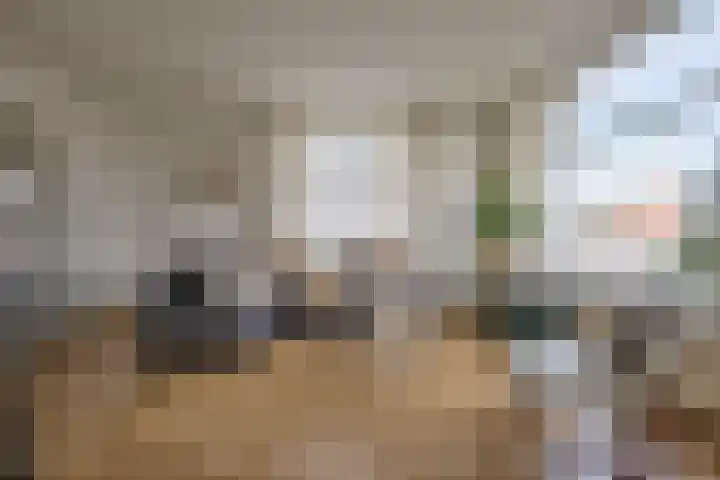 Spaarndamseweg 300 Haarlem thumbnail 16