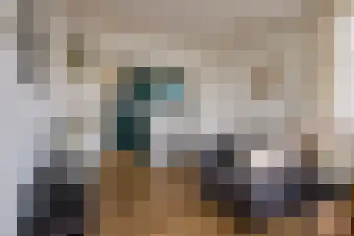 Spaarndamseweg 300 Haarlem thumbnail 18
