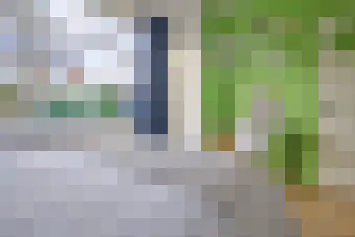 Spaarndamseweg 300 Haarlem thumbnail 26