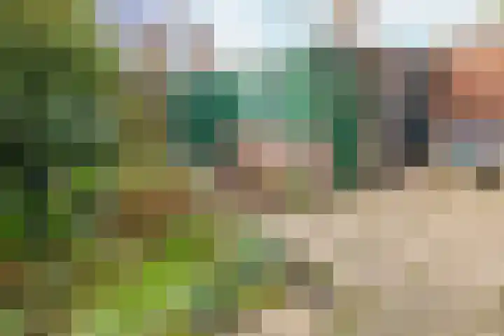Spaarndamseweg 300 Haarlem thumbnail 37