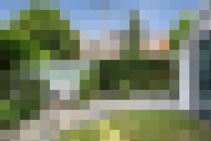Spaarndamseweg 316 ZW Haarlem thumbnail 22