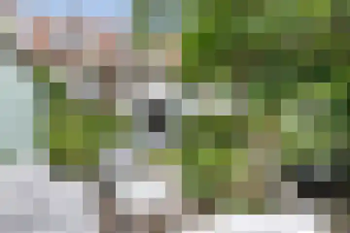 Spaarndamseweg 316 ZW Haarlem thumbnail 23