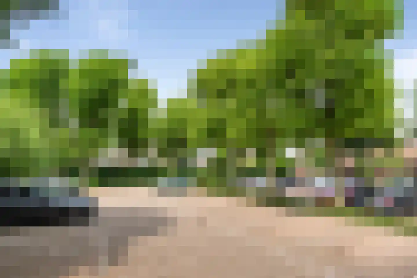Spaarndamseweg 386 0049 Haarlem thumbnail 25
