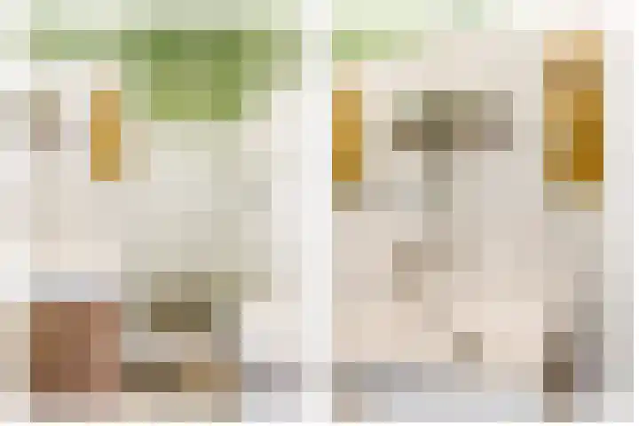 Spaarndamseweg 386 0051 Haarlem thumbnail 5