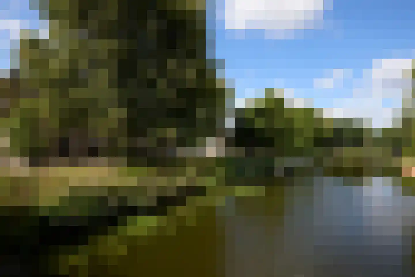 Spaarndamseweg 764 Haarlem thumbnail 44