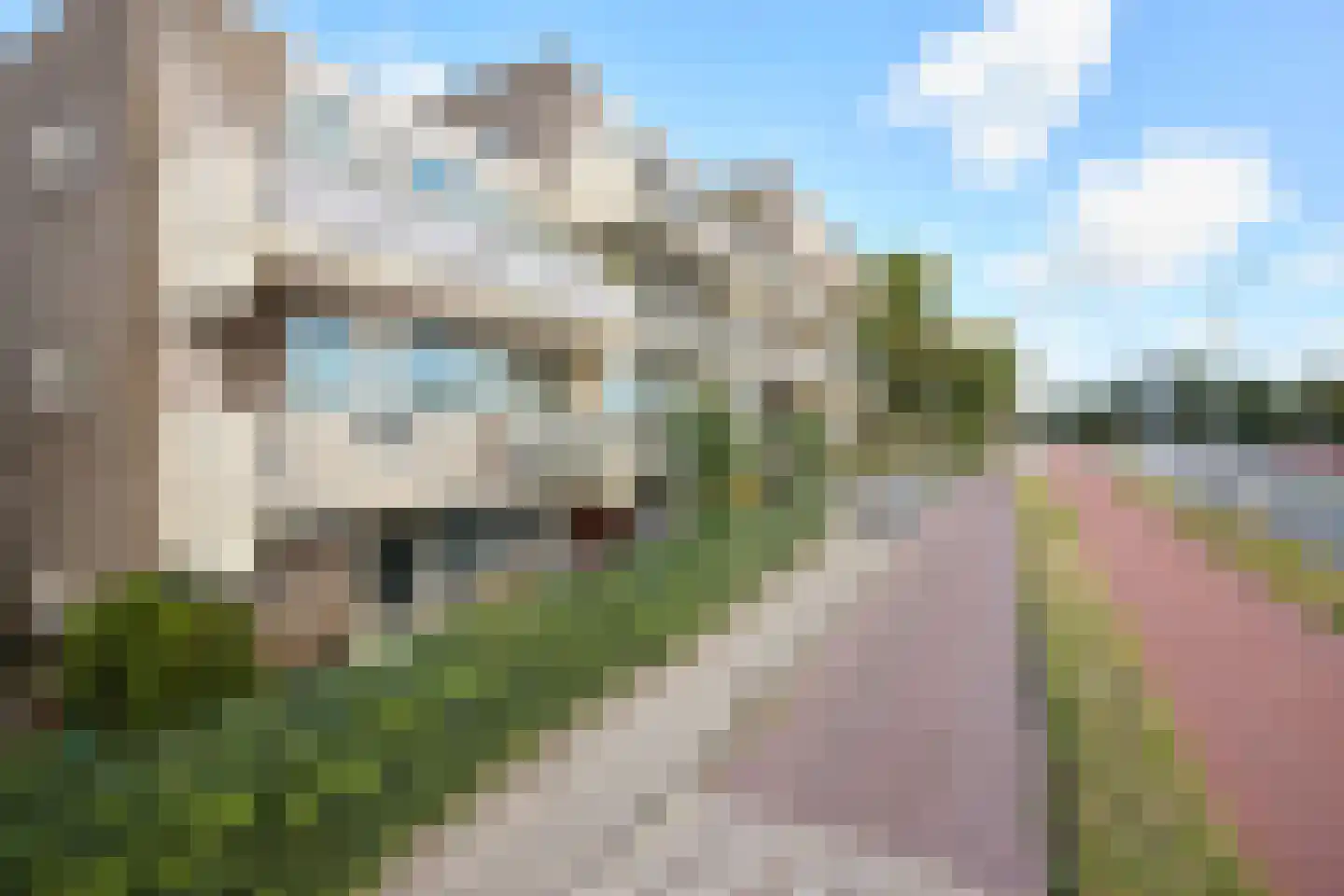 Spaarndamseweg 764 Haarlem thumbnail 7