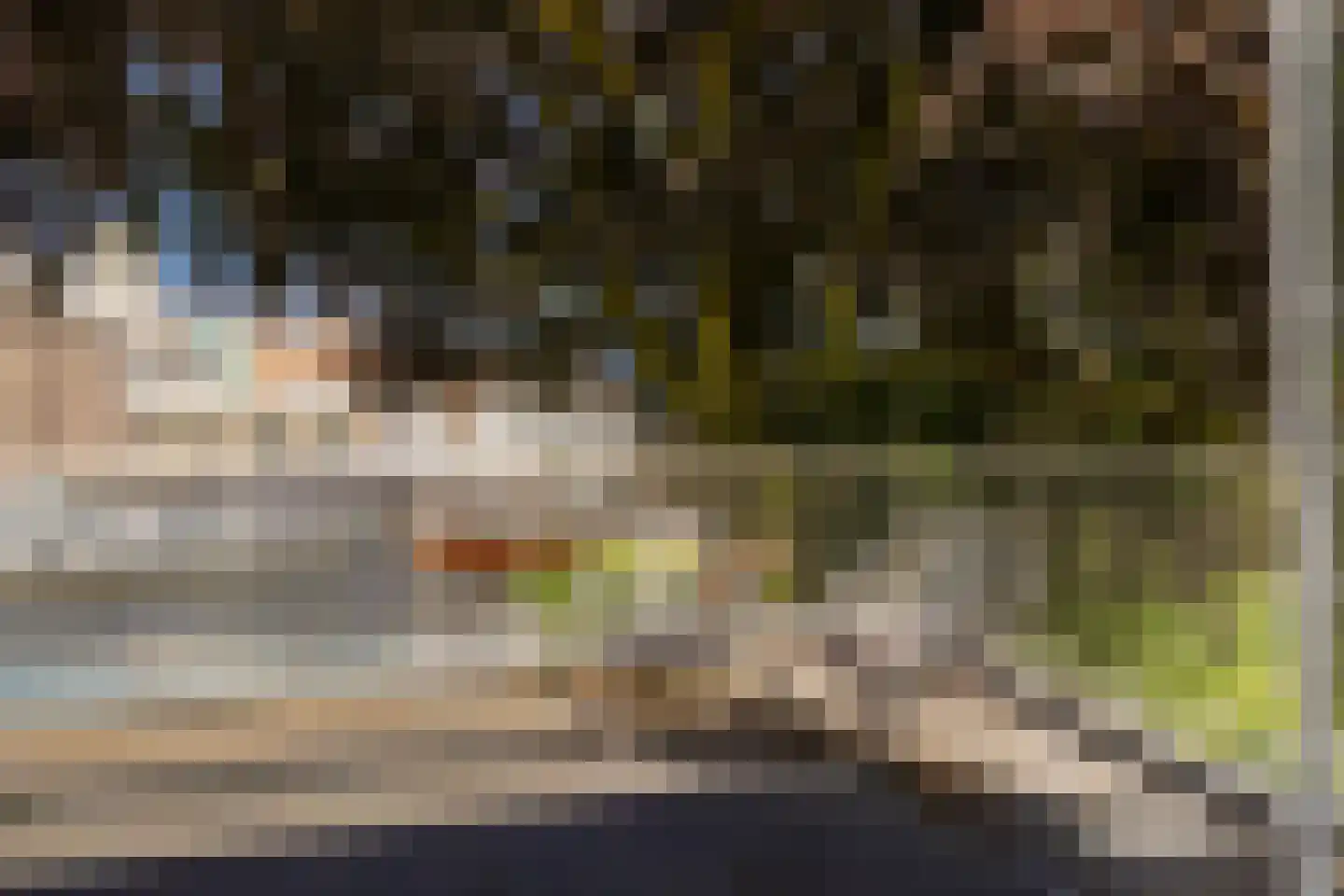 Spaarne 10 B Haarlem thumbnail 36