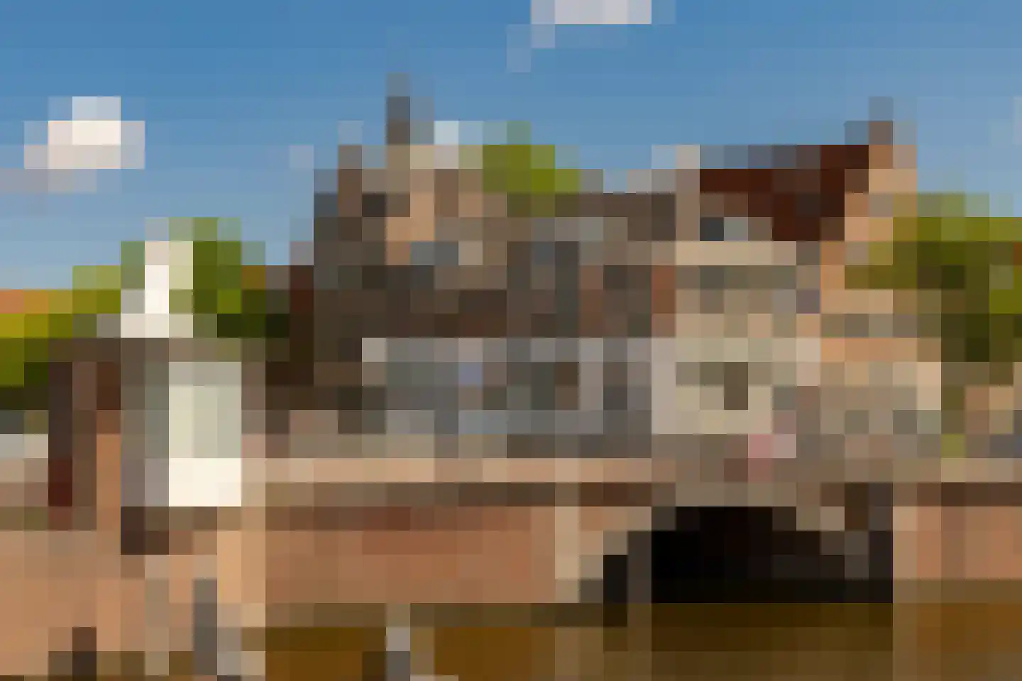 Spaarne 10 B Haarlem thumbnail 45