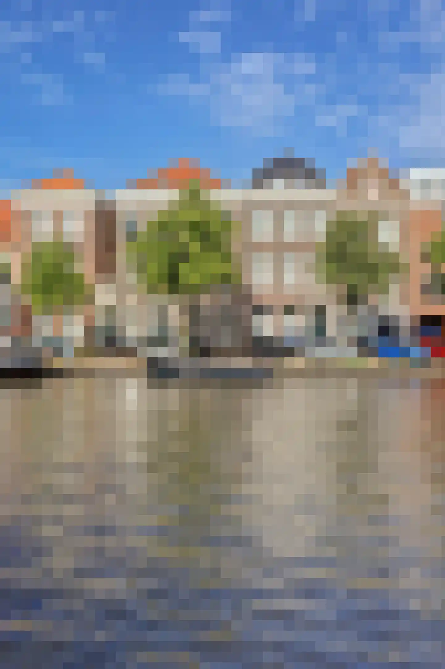 Spaarne 113 Haarlem thumbnail 26