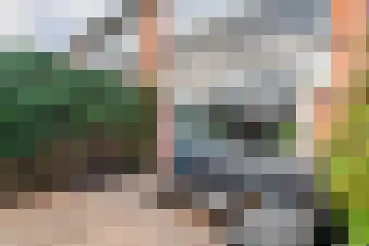 Spaarne 15 Veenendaal thumbnail 20