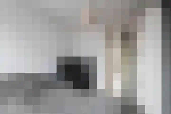 Spaarne 15 Veenendaal thumbnail 25