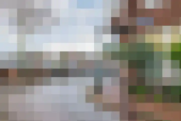 Spaarne 217 Haarlem thumbnail 32
