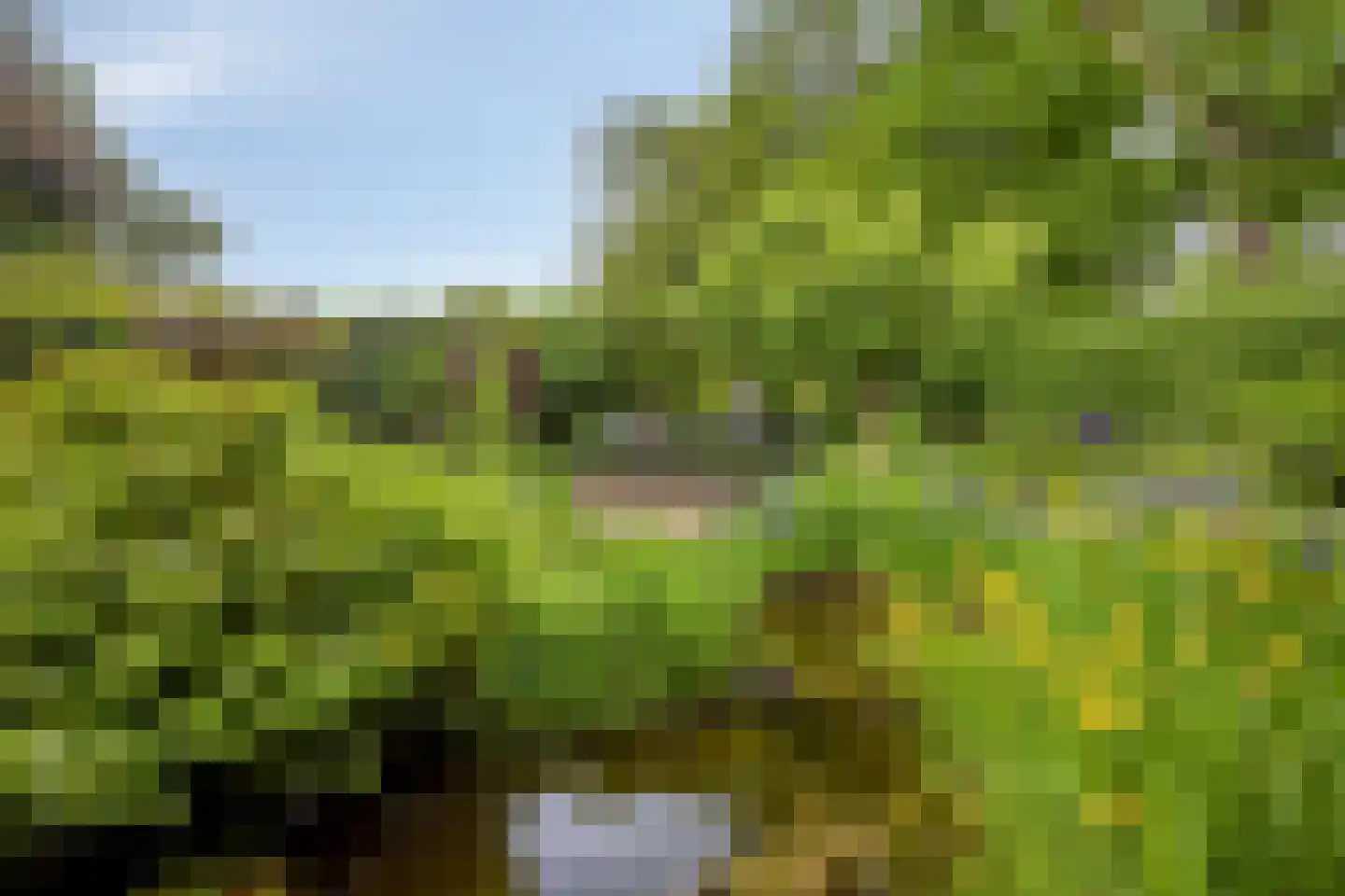 Spaarne 28 Veenendaal thumbnail 28