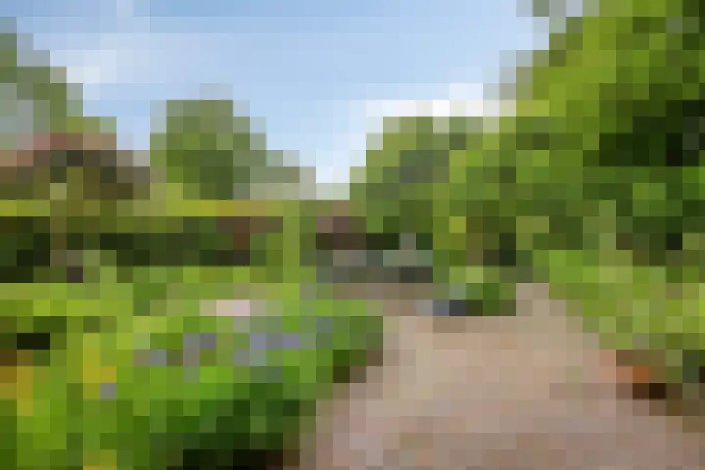 Spaarne 28 Veenendaal thumbnail 29