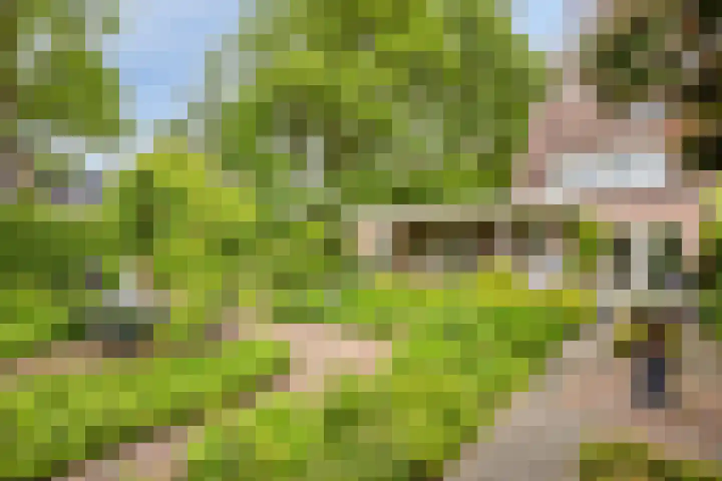 Spaarne 28 Veenendaal thumbnail 31