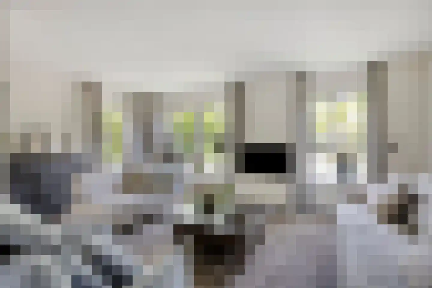 Spaarne 28 Veenendaal thumbnail 8