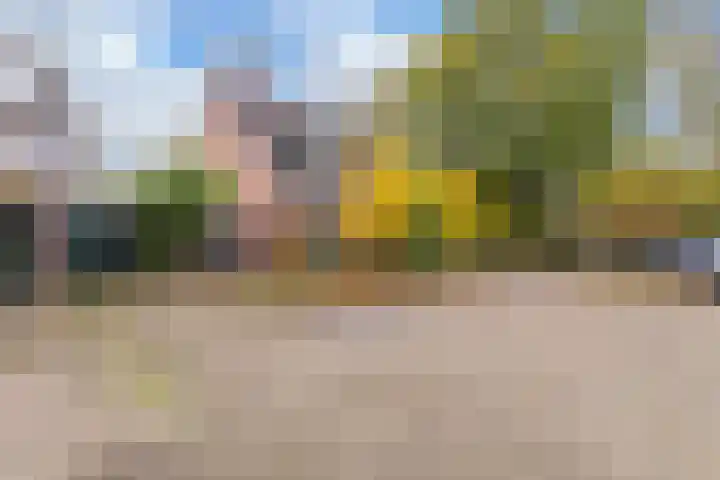 Spaarne 30 Veenendaal thumbnail 4