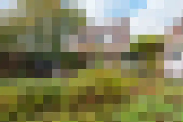 Spaarne 30 Veenendaal thumbnail 42