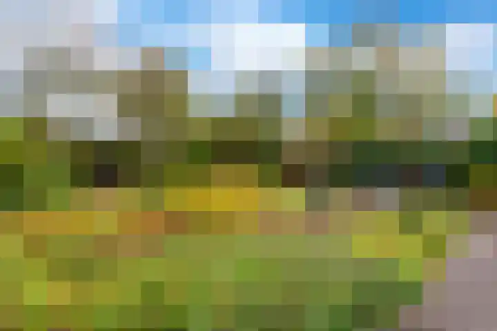 Spaarne 30 Veenendaal thumbnail 43