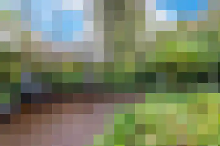 Spaarne 30 Veenendaal thumbnail 45