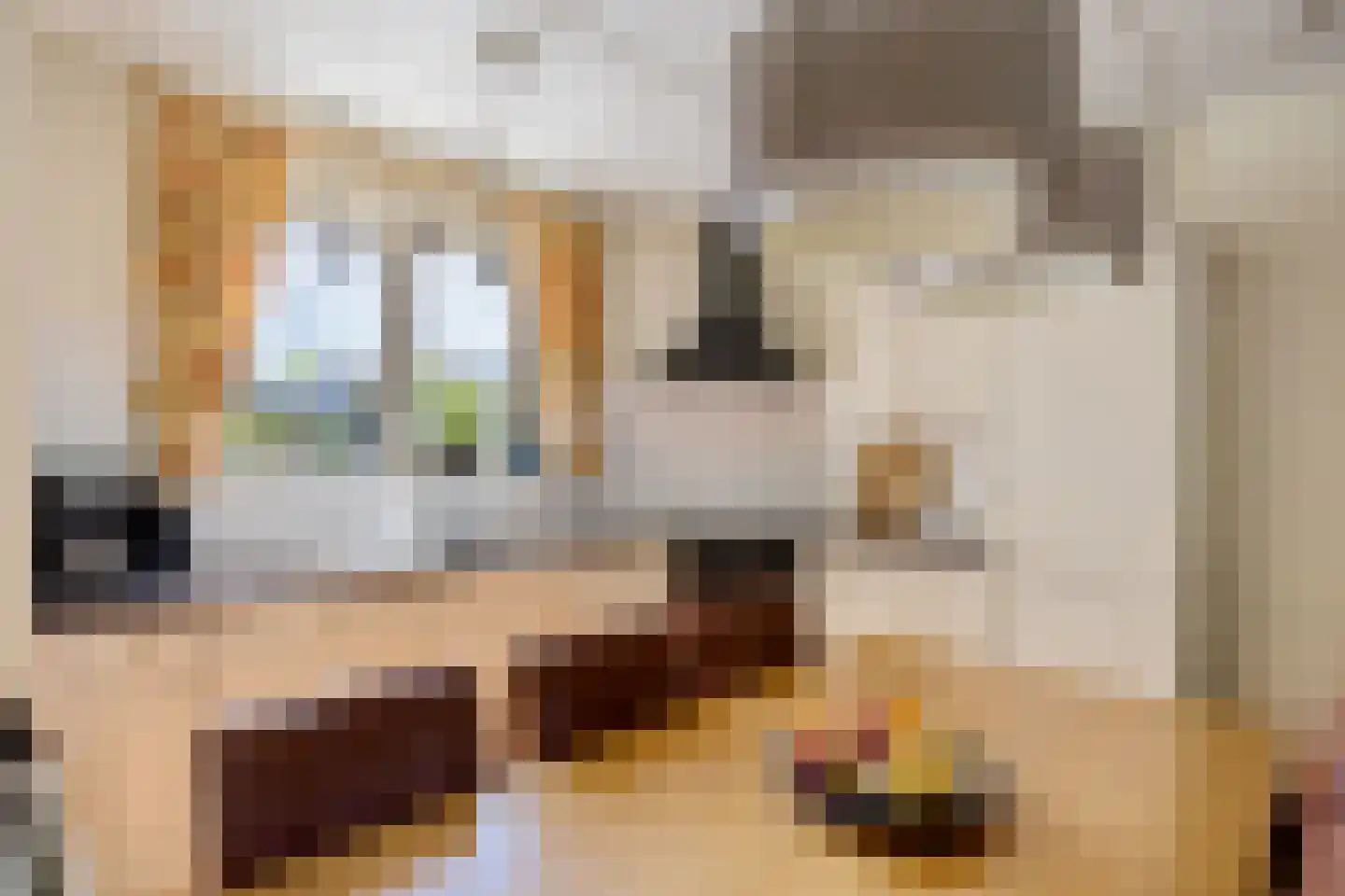 Spaarne 4 Huizen thumbnail 12