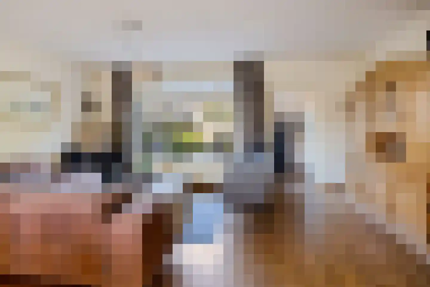 Spaarne 4 Huizen thumbnail 5