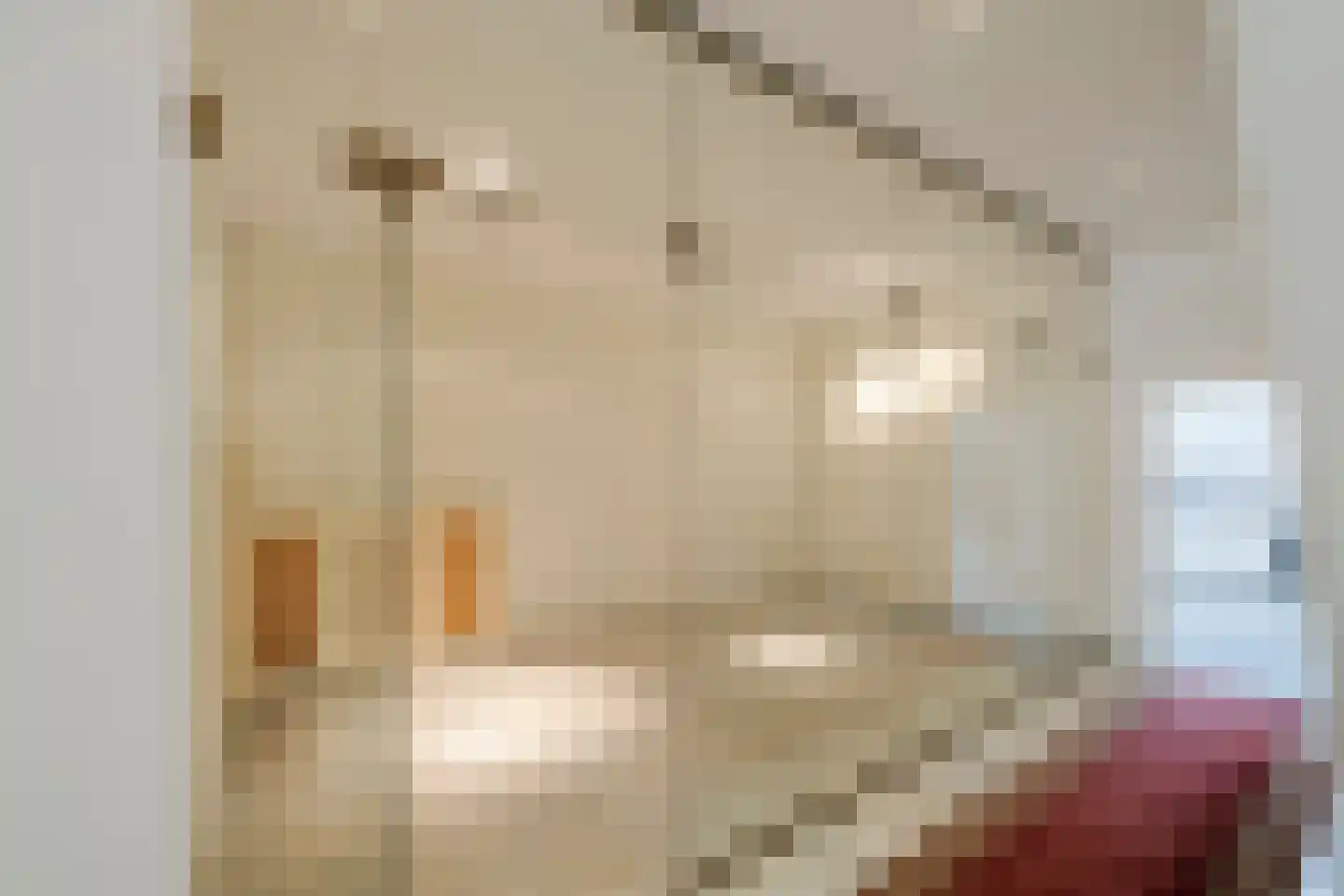 Spaarne 57 Haarlem thumbnail 11