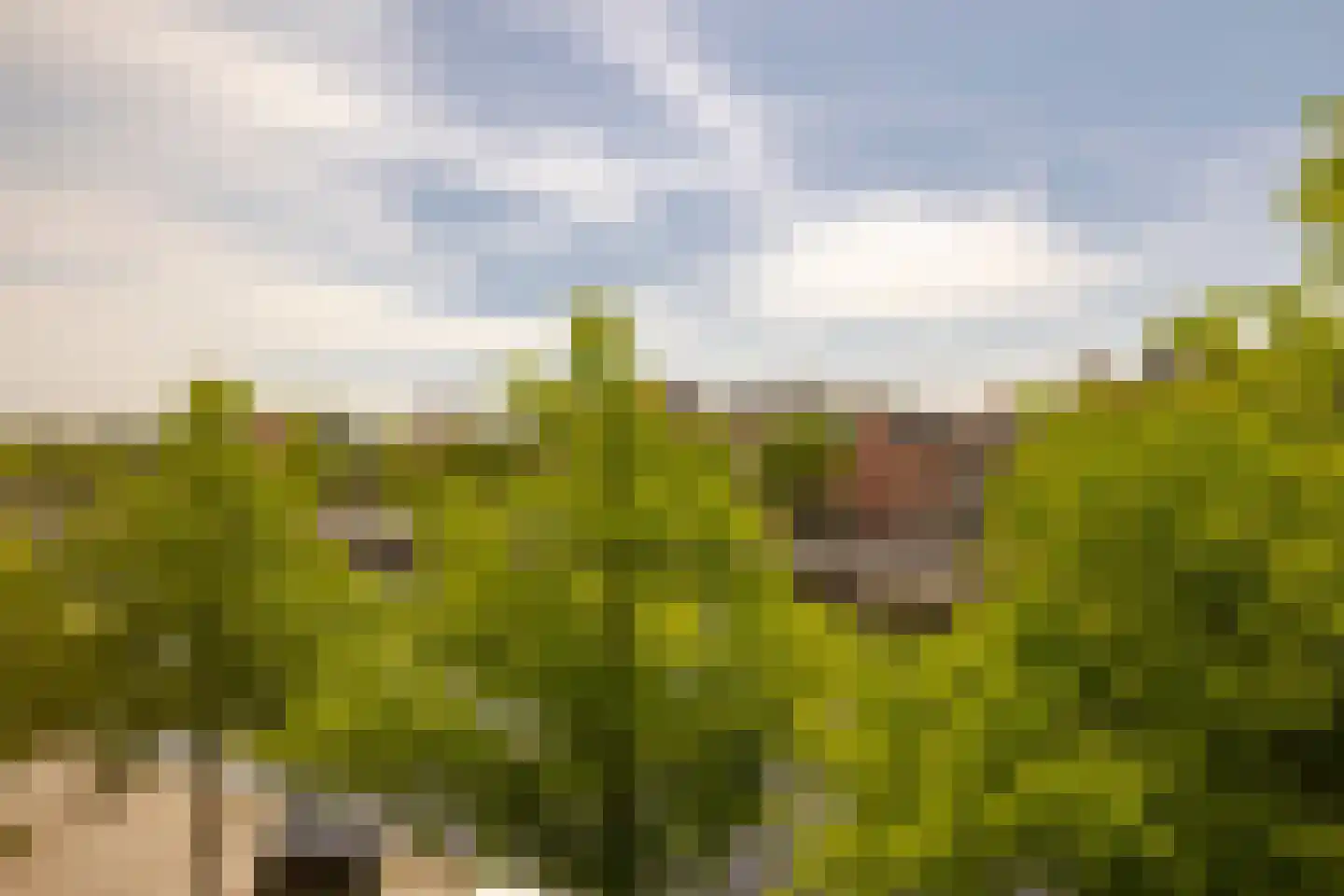 Spaarne 57 Haarlem thumbnail 29