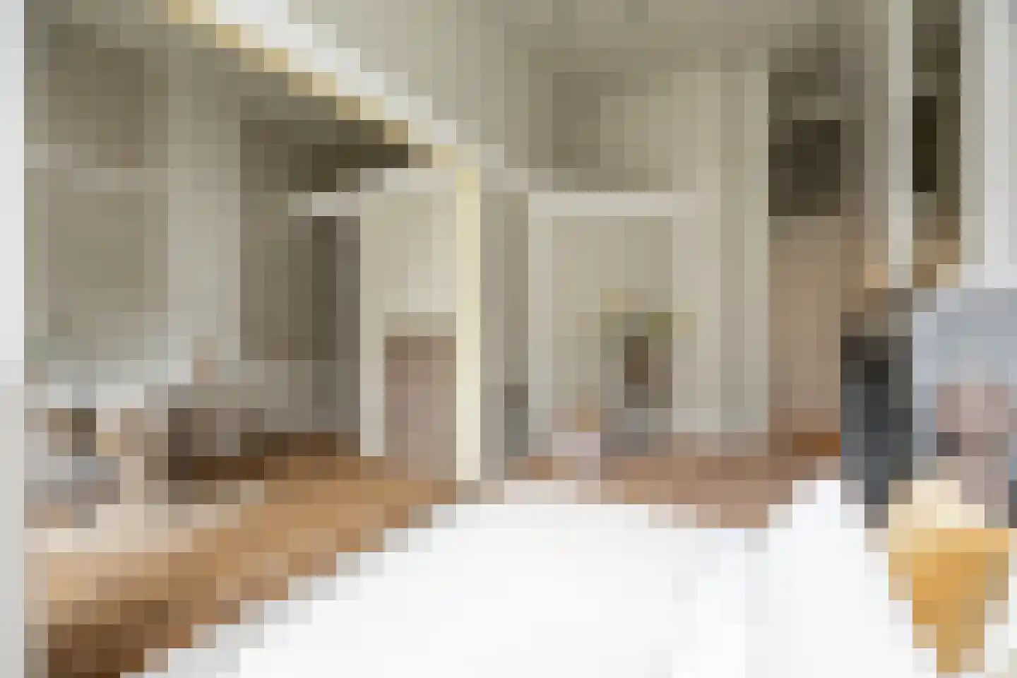 Spaarne 58 Haarlem thumbnail 23