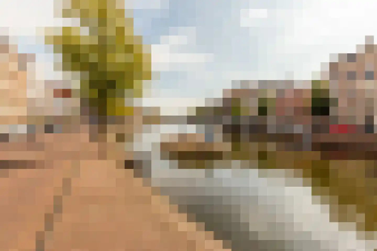 Spaarne 58 Haarlem thumbnail 34