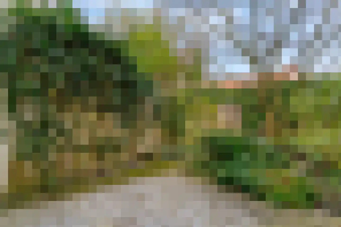 Spaarne 65 A Haarlem thumbnail 36