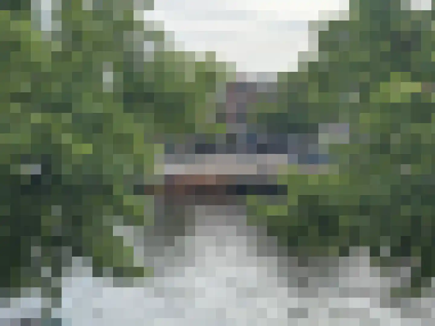 Spaarne 67 A Haarlem thumbnail 32