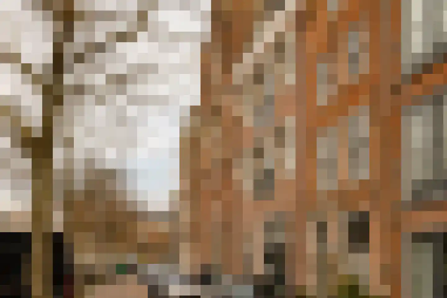 Spaarne 67 A Haarlem thumbnail 33