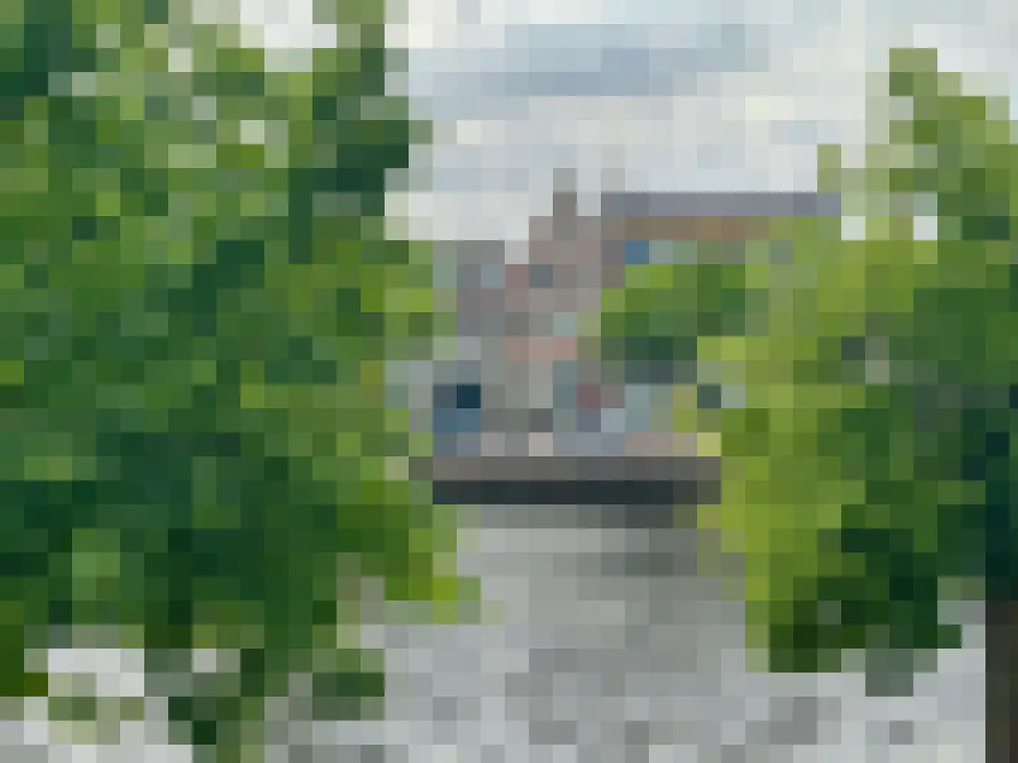 Spaarne 67 A Haarlem thumbnail 34
