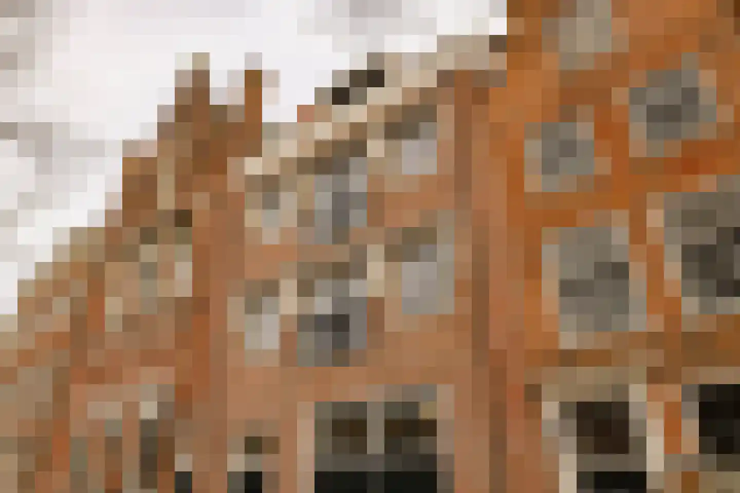 Spaarne 67 A Haarlem thumbnail 6